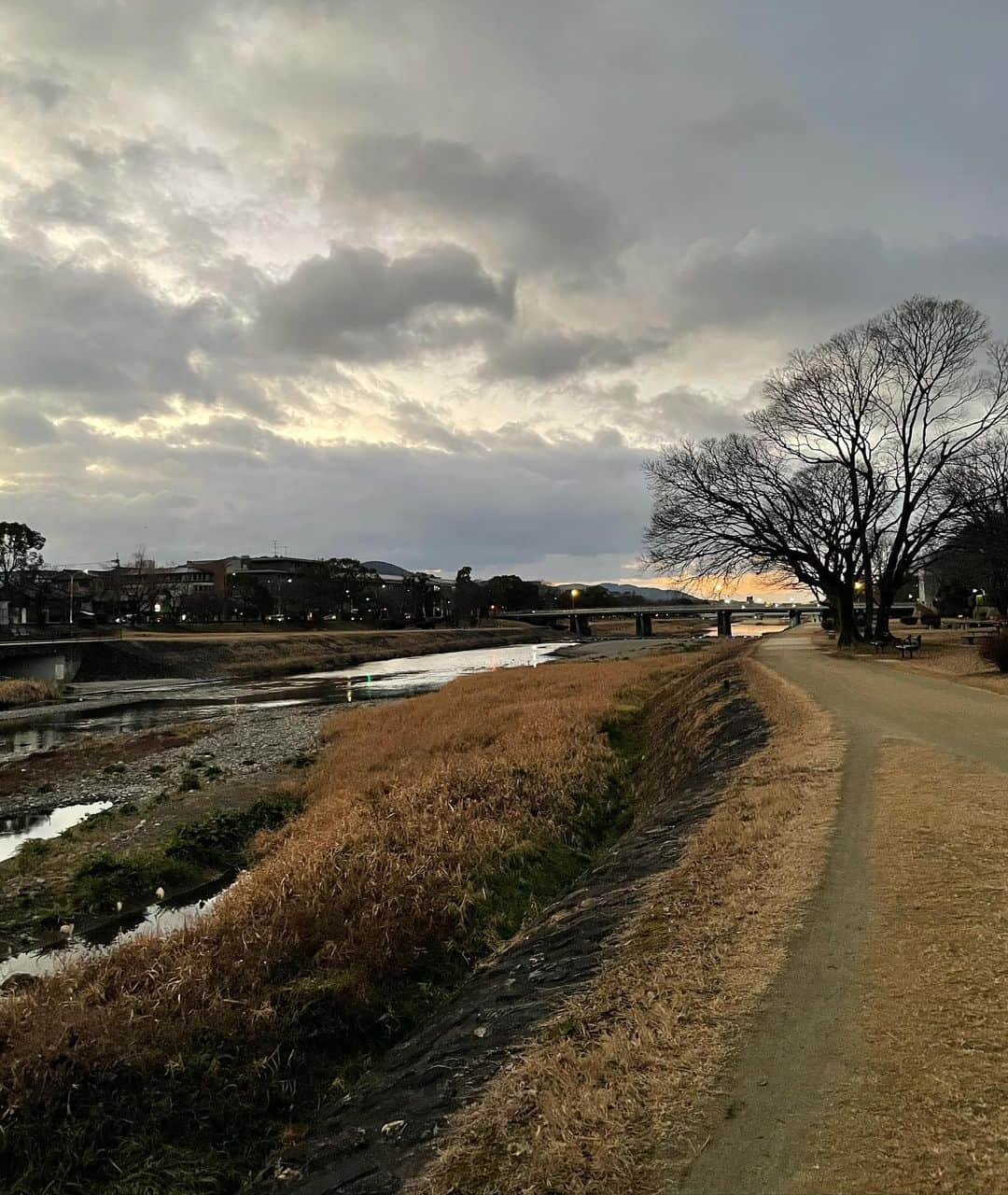 Chiharu Ko8yacさんのインスタグラム写真 - (Chiharu Ko8yacInstagram)「○牡蠣飯弁当○ ・ 牡蠣と芹のごはん たまご焼き 菜の花の辛子和え 椎茸昆布 ・ 茄子のお味噌汁 ・ 朝0℃以上だったらウォーキングを決行しています🚶‍♀️ 出発する時間にはまだ星が出ていて、暗闇の中ラジオ体操する一団の傍を通って鴨川に出る。 暗がりから爽やかな曲が流れてくるのはなかなかにシュールだ。 ・ 2枚目以降が今朝6:30の鴨川辺り #obento #bento #lunchbox #お弁当 #おべんとう#公長齋小菅#曲げわっぱ#わっぱ#炊き込みご飯 #炊き込みご飯弁当 #牡蠣飯#牡蠣飯弁当 #牡蠣ご飯」1月19日 8時32分 - ko8yac