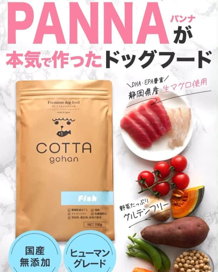 Dog's Life PANNAのインスタグラム：「@cottagohan  1月16日無事に発売開始をすることができました✨🥰🙇‍♀️  普通の人ならちょちょいとできてしまう仕事も要領の悪い私だと何度も立ち止まり…周りに迷惑をかけているかなとくじけそうになったこともありましたが、時間をかけこだわったからこそ自信をもってお渡しできるものができたと今は清々しい気持ちで過ごしています☺️  発売日当日は今年一良き日とのことで吉方位をお詣りし温泉に入り、人生初のお水とりというのをしてみました😊その地のものを食べ温泉に入り、その地で湧き出たお水を8日間毎朝飲むという魔法使いみたいな生活を楽しみながらたくさんの方々に愛されるブランドになるよう更に努力を重ねて参ります。  @cottagohan  こちらもフォローお願いいたします🙇‍♀️ ご購入は私のプロフィールからも入れます🐟🧡  #COTTAごはん #コッタごはん #1月16日発売 #天赦日 #一粒万倍日 #甲子の日  #トリプル開運日　っていうみたいw #魔法使いの生活 #lpにすいちゃんも登場します #みてね  #パンナ #ドッグズライフパンナ #ドッグフード #プレミアムドッグフード  #cottagohan #dogslifepanna  #panna #dogstagram #petstagram #dog #tokyo #instadog #instapet」