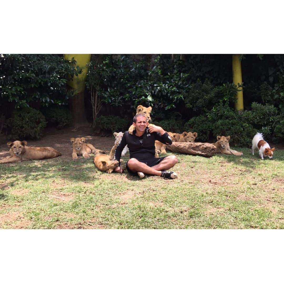 Black Jaguar-White Tiger さんのインスタグラム写真 - (Black Jaguar-White Tiger Instagram)「9 Lions and 1 Angry Chihuahua :) #TheMightyChiquitin #JuliosPrideBJWT」1月19日 9時06分 - blackjaguarwhitetiger