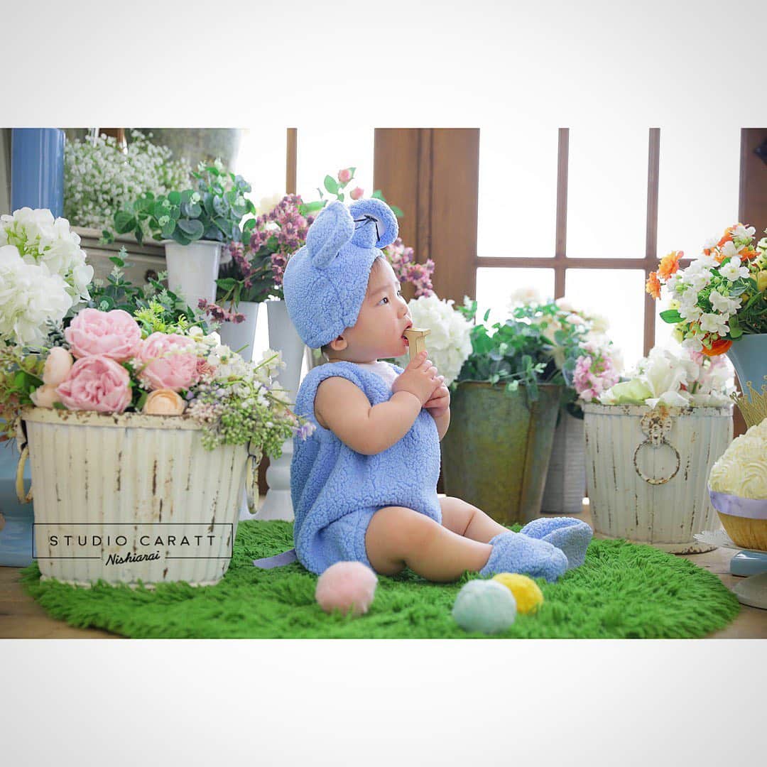 スタジオキャラット アリオ西新井店のグルメインスタ