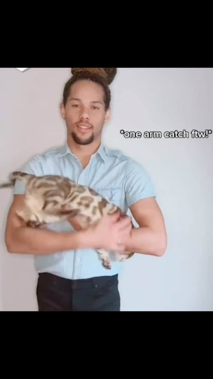 のインスタグラム：「#bengalcat #9gag #audition」