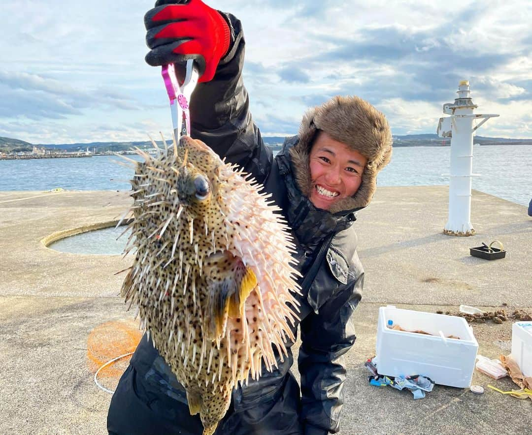 本多洸亮のインスタグラム：「種子島ですごいの釣れた😂 食べ方が分かりません… 誰か欲しい人着払いで送ります🐟 とにかく寒い…。  #種子島 #種子島釣りキャンプ #種子島ハリセンボン #ハリセンボン #ハリセンボン春菜  #こChannel」