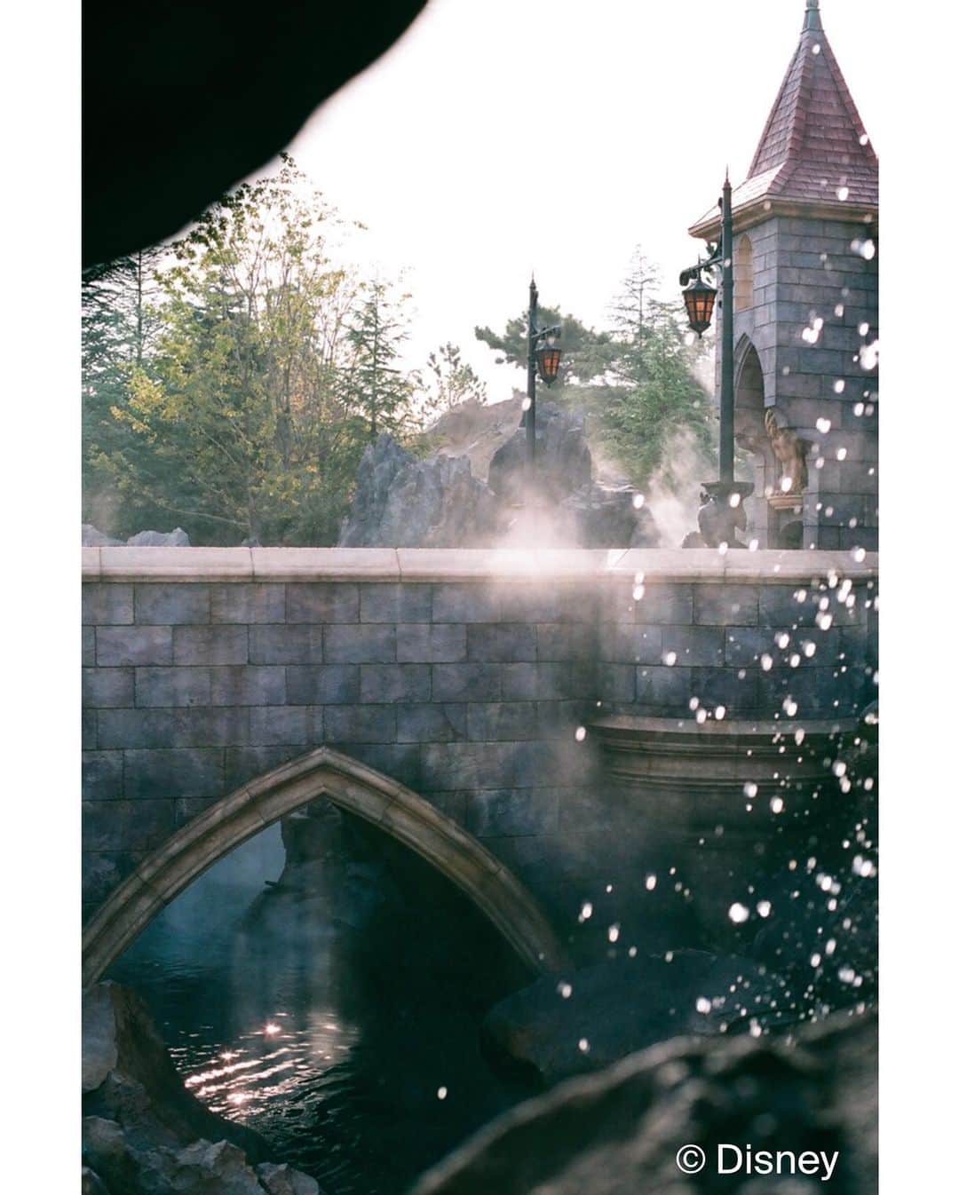 月刊ディズニーファン【公式】さんのインスタグラム写真 - (月刊ディズニーファン【公式】Instagram)「#美女と野獣の城 を#フィルム で撮影🎞どの角度から撮っても素敵なお城🏰🌹✨  #ディズニーファン2月号 に掲載の記事は、2020年12月11日現在の情報にもとづいています。掲載した情報は、予告なく内容が変更、中止になる場合があります。  各情報の最新状況につきましては、誌面に掲載のお問い合わせ先にお問い合わせください。  東京ディズニーリゾートに関する情報は、 東京ディズニーリゾートインフォメーションセンター 電話0570-00-8632　受付時間：10:00-15:00 （年中無休） （一部のPHS・IP電話・国際電話の方は045-330-5211）にお問い合わせください。  読者の皆様にはご迷惑をおかけいたしますが、何とぞご了承いただけますよう、お願い申し上げます。  #ディズニーファン #月刊ディズニーファン #disneyfan #ディズニー公式情報誌 #disney #ディズニー #disneyphoto #disneylife #disneylove #tokyodisneyresort #東京ディズニーリゾート#tokyodisneyland #film #nofilter #フィルムカメラ #fujifilm #富士フイルム #superiapremium400 #美女と野獣 #beautyandthebeast #美女と野獣エリア」1月19日 10時41分 - dfan_mag_official
