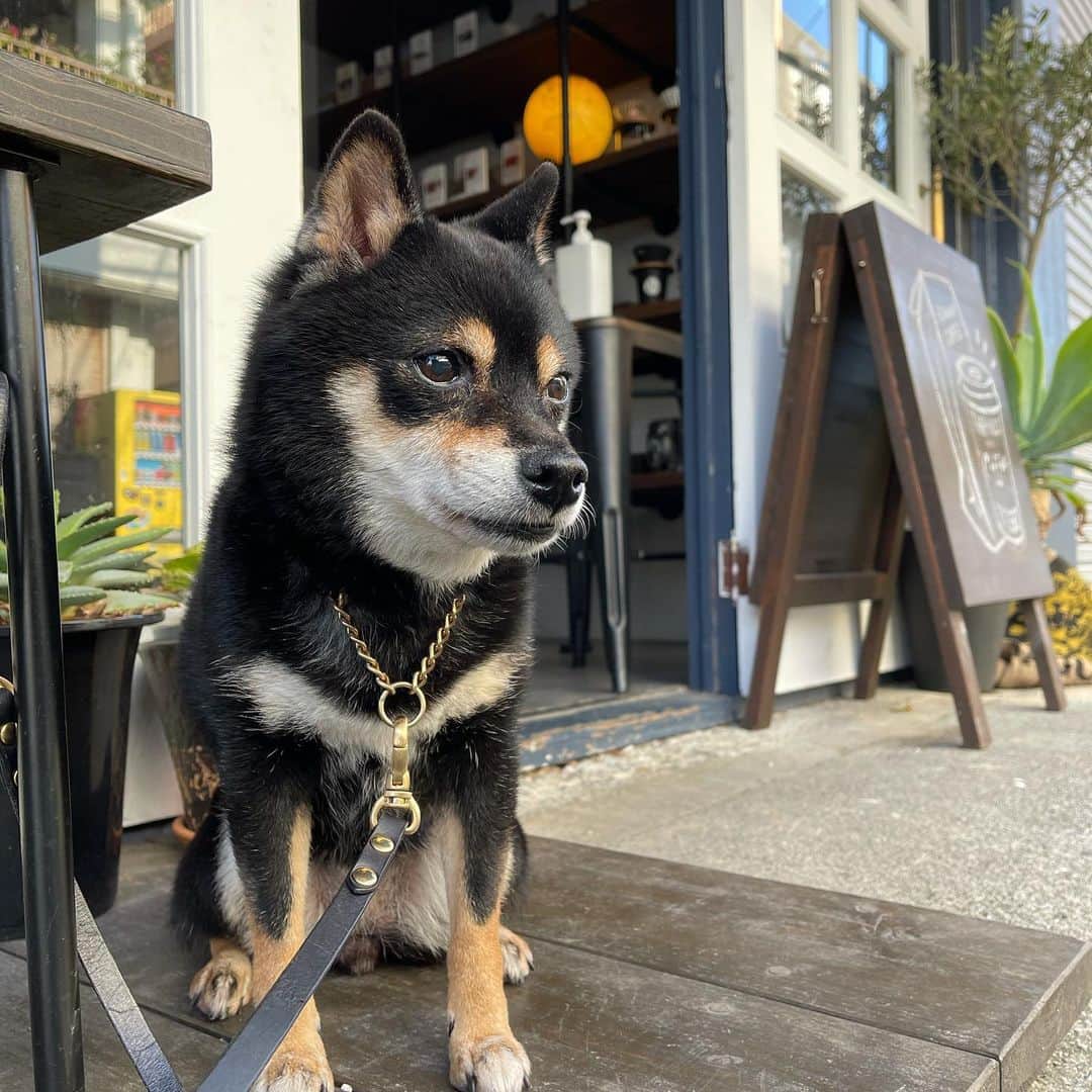 高原直泰のグルメインスタ