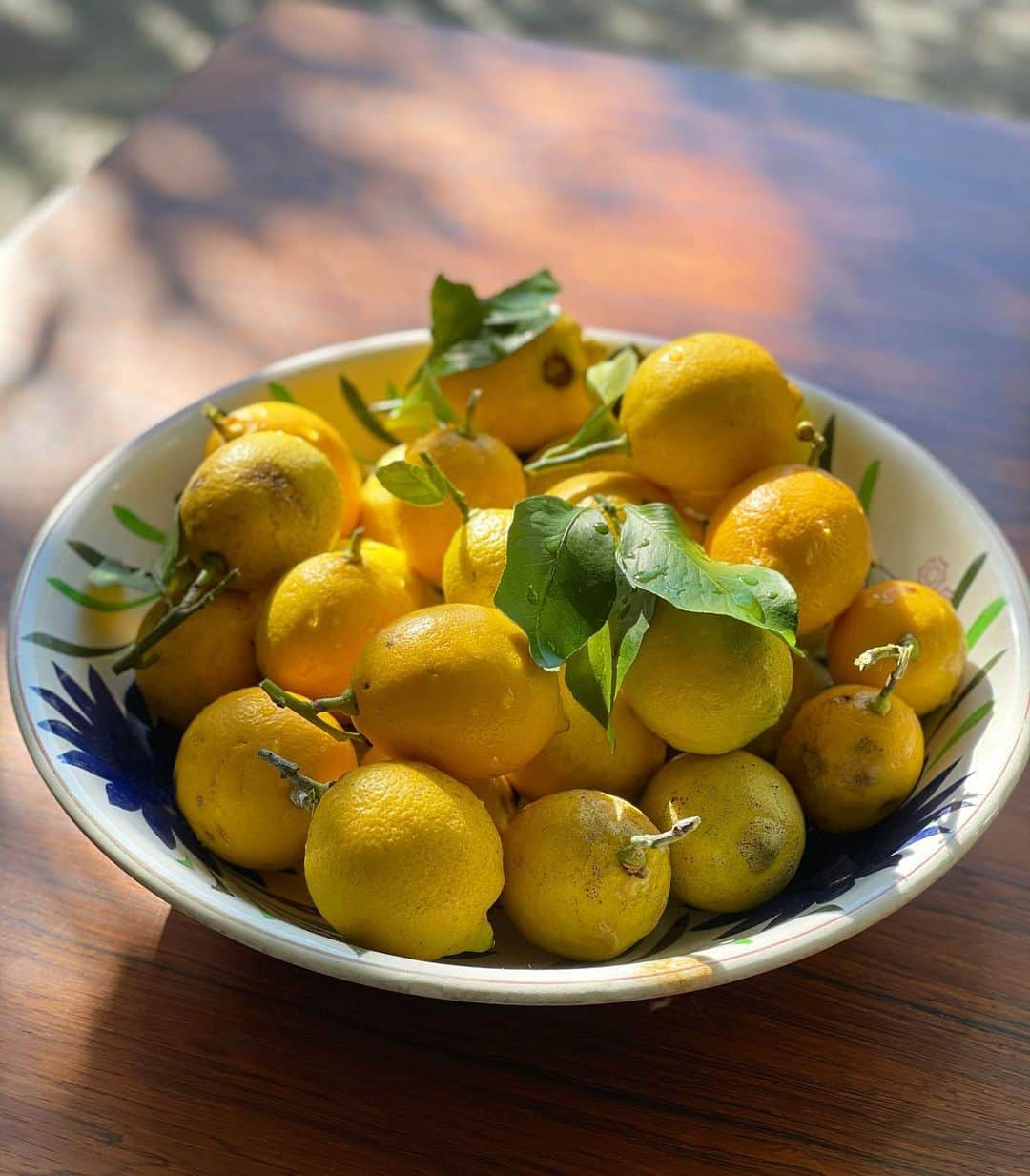 桐島かれんさんのインスタグラム写真 - (桐島かれんInstagram)「葉山の家の庭に植えっぱなしのレモンの木の果実を夫が収穫してきてくれました。何の世話もしていないのに、今年も沢山の実をつけてくれて有難いです。 #レモン　#レモンの木」1月19日 10時37分 - houseoflotuskaren