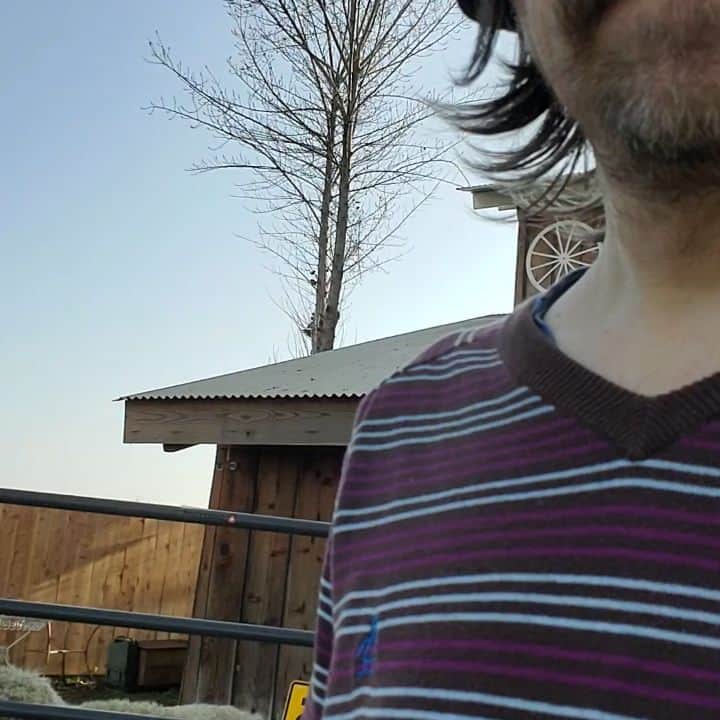 リヴァース・クオモのインスタグラム