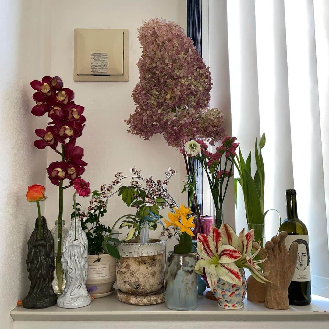 のインスタグラム：「... . オハナバタケ#2 . . . #お花 #flowers #花瓶 #flowerbase  #myhouse #myhome #村上佳菜子　#kanakomurakami #figureskater #figureskating」