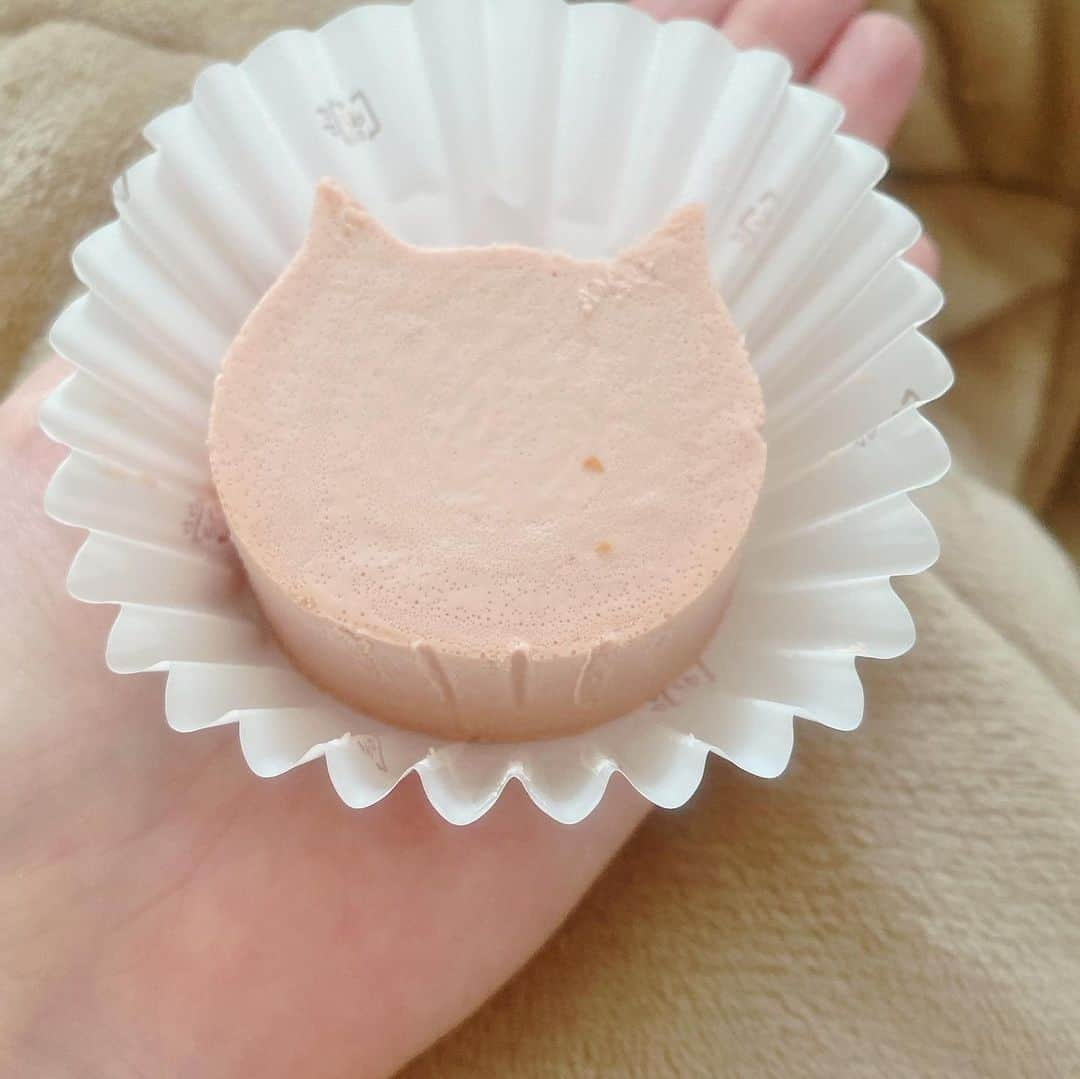 JULIAさんのインスタグラム写真 - (JULIAInstagram)「♡ 猫ぱんのお店のにゃんちー♡ かわいぃぃぃぃぃ  プレーンといちご味のチーズケーキ♪」1月19日 11時44分 - julia_cmore_official