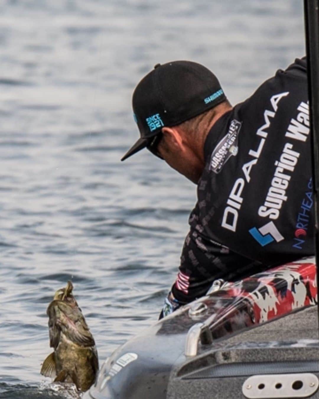 シマノ｜Fishingのインスタグラム：「GDP scooping smallies boatside. Which stop on the 2021 Elite Series schedule are you most excited about?   #FishShimano #BassFishing #EliteSeries #Smallmouth 📸: @gregdipalma」
