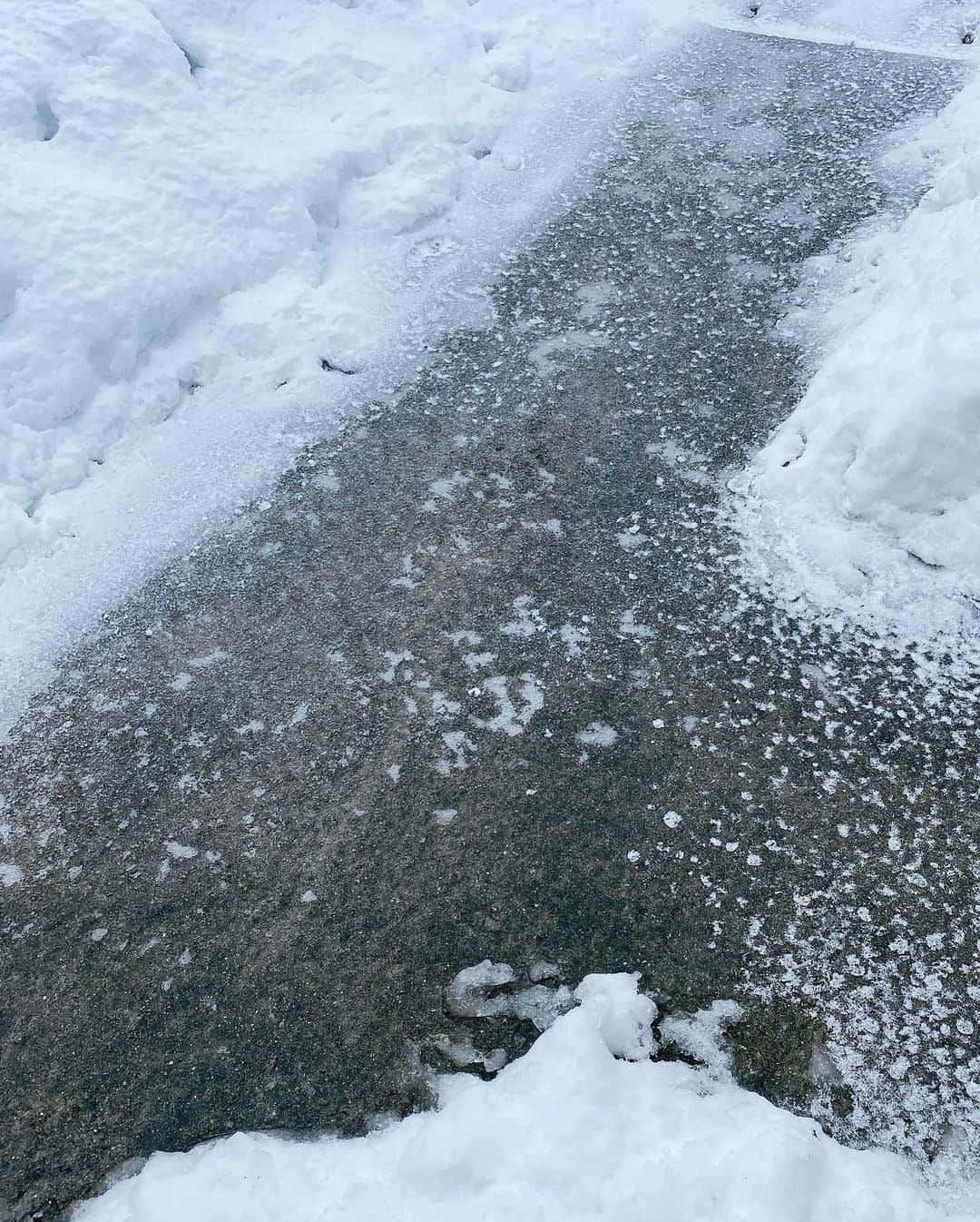 石田燿子さんのインスタグラム写真 - (石田燿子Instagram)「外はめっちゃスケートリンクですが 雪のせいで2回キャンセルしている整体に行ってきた🚙 帰り、ファンデ買いにドラッグストア寄ったら、、、出会ってしまいました❤️ #セーラームーン #sailormoon」1月19日 12時02分 - yokonti