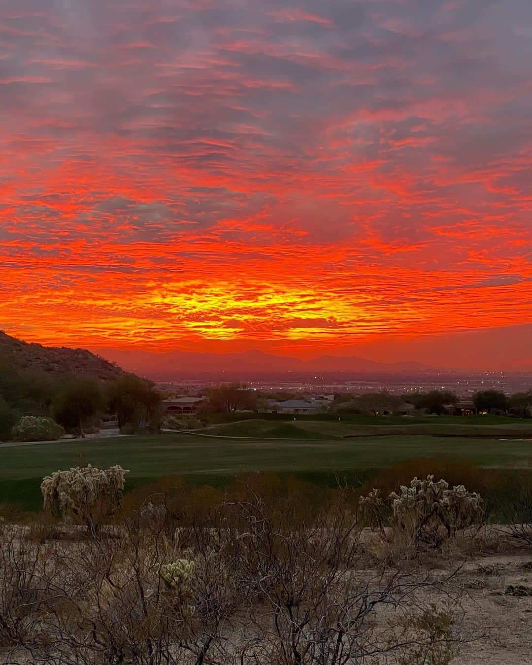 ショウン・トンプソンさんのインスタグラム写真 - (ショウン・トンプソンInstagram)「Arizona sunsets hit way different, especially when drinking an Arizona Iced Tea. Swipe to see Silas’s enjoyment. Enough to share with his brother! 😆  #brothers #sharing #azsunset #sunset」1月19日 12時14分 - shaunt