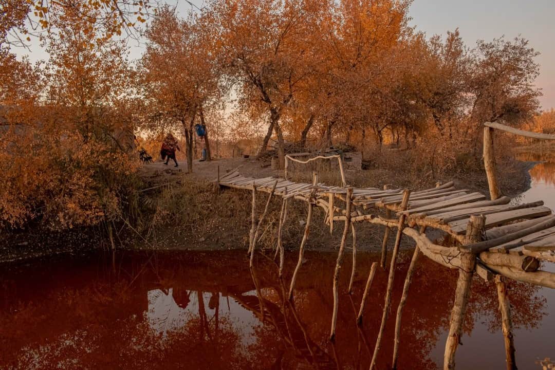National Geographic Travelさんのインスタグラム写真 - (National Geographic TravelInstagram)「Photo by @AnushBabajanyan / Evening falls over a bridge crossing the Amu Darya river in Uzbekistan. #Uzbekistan #nature」1月19日 12時35分 - natgeotravel