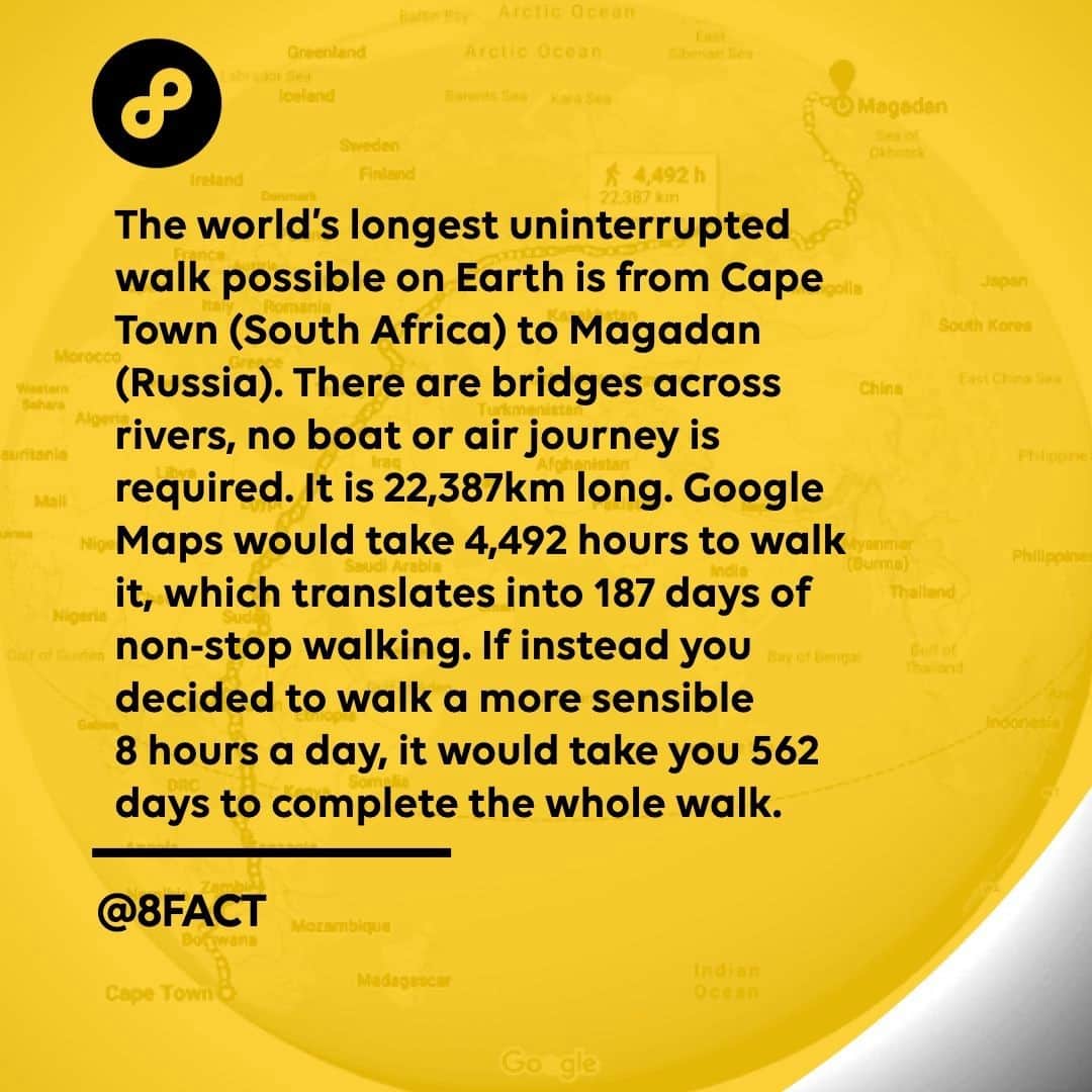 のインスタグラム：「World’s longest mosquito buffet.」