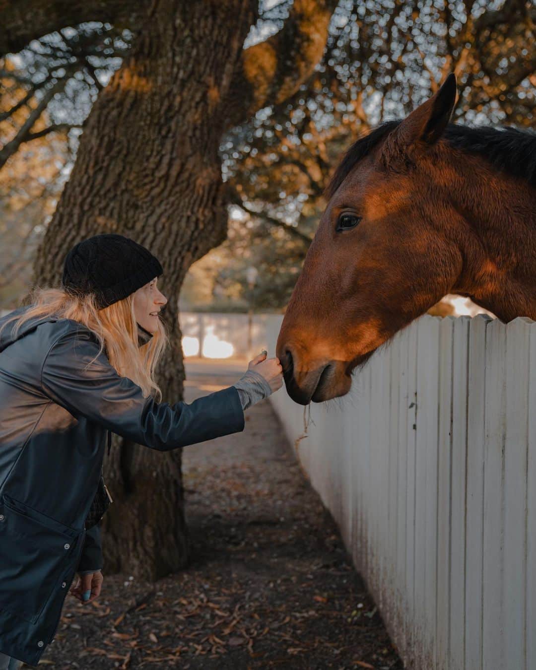 エミリー・デ・レイヴィンのインスタグラム：「How to befriend a horse in 3 steps  😉🐴🥰  I love horses. I grew up with a Pony named Emerald, a Shetland Pony named Buttons , & a Donkey I (very originally) named Eeyore. I miss being around horses a lot. Not just riding (& was never a pro or anything!), but moreso hanging out, talking with them, brushing them, loving them. Horses are incredible animals, oh so smart and in touch with every teeny tiny feeling, emotion & energy around them.  Thank you my beautiful friend for our special time together at (the super cool to visit- pls go if you can!) Colonial Williamsburg.  *from last month   📸 @eb.photogeography  #horselife #horsesofinstagram #horselover #mumlife #momlife #kidlife #rvlife #lifeontheroad」