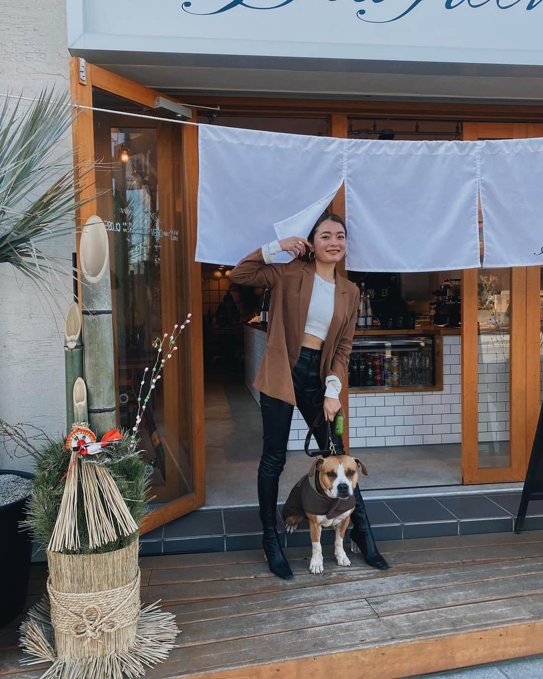 Fabiolla Takinamiのインスタグラム：「Broくんとの思い出🍶🐶 @seagreen_kamakura にて @jozen_mizunogotoshi の日本酒を飲み比べした日🤍  #犬とカフェ #fabro_ #pittbull#dog#ワンコ#fb923#seagreen#jozen#日本酒」