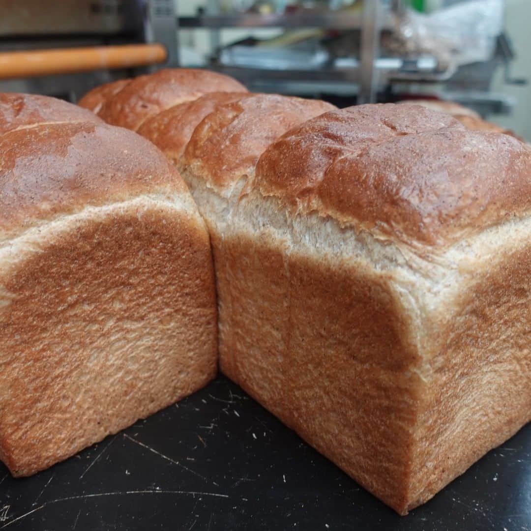 魔女菅原のグルメインスタ