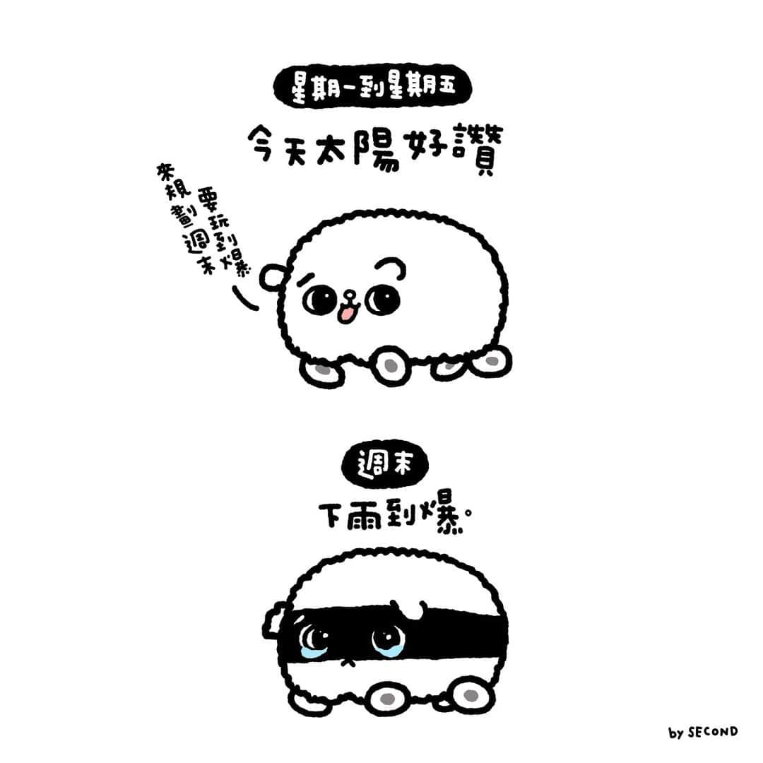 のインスタグラム：「被天氣綁架  #想兜風 #想當 #天竺鼠車車」