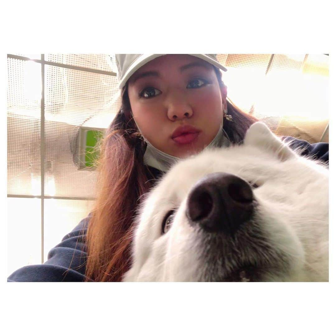 高田汐美さんのインスタグラム写真 - (高田汐美Instagram)「ドーベルマンほしい❤︎  #犬　#ドーベルマンは無理だから　#ドーベルマンのティシャツ買おう　#パピィのカードでな」1月19日 13時24分 - shiominniee