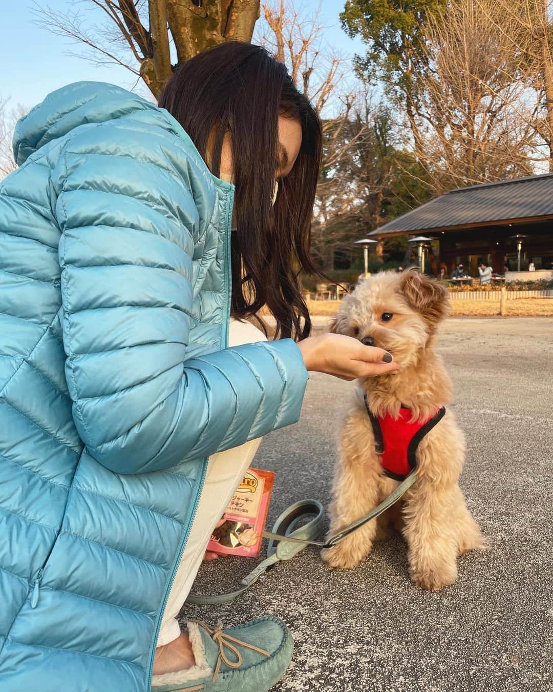 mimiのインスタグラム