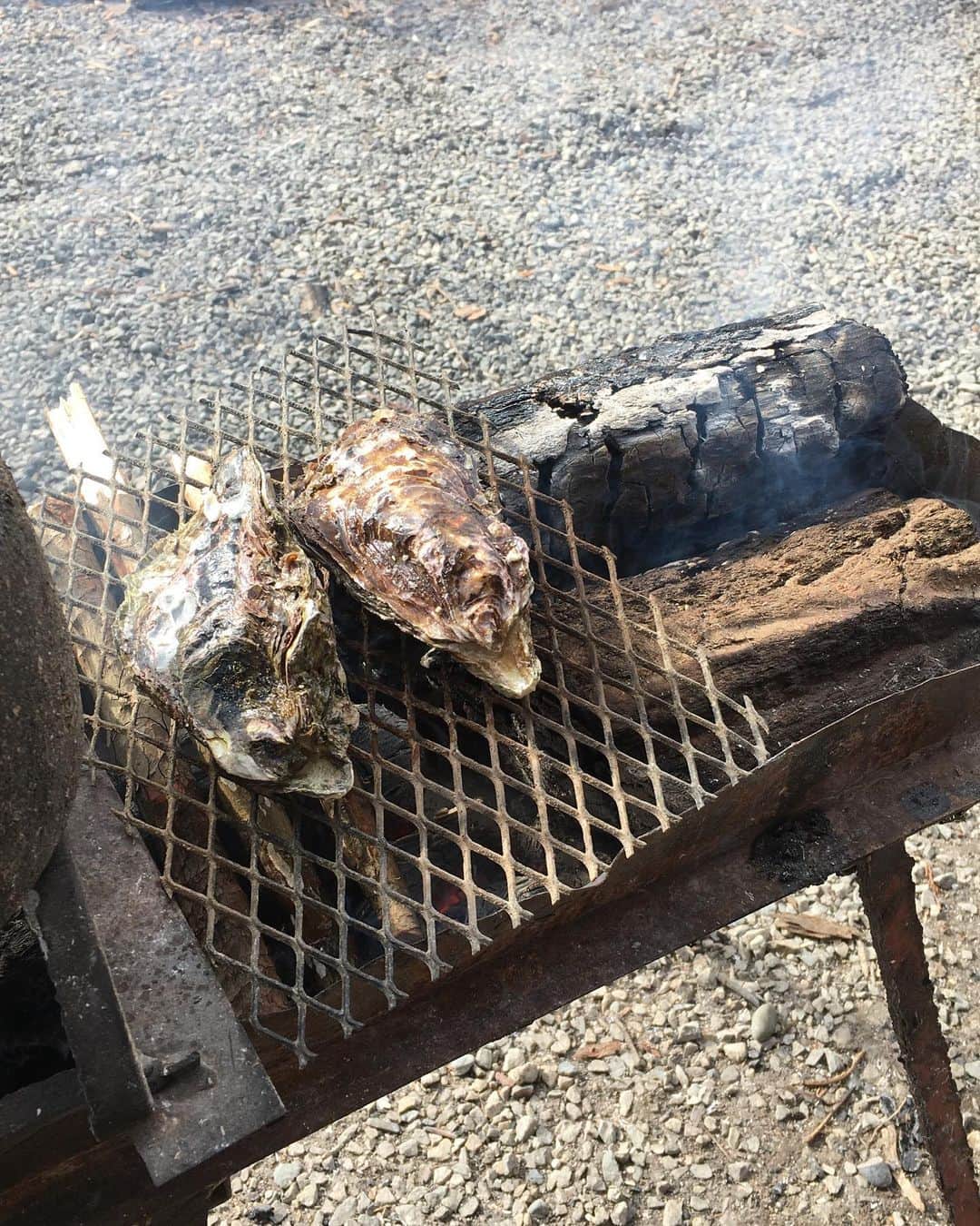黒山健一さんのインスタグラム写真 - (黒山健一Instagram)「食の旅❗️ 美味い食材が、こちらに来てくれる時もある❗️ 生食用の牡蠣❗️ 広島県産の牡蠣です❗️ まずは…火で焼いて、食べてみる❗️  #食の旅 #牡蠣 #海のミルク」1月19日 14時19分 - kenichi_kuroyama
