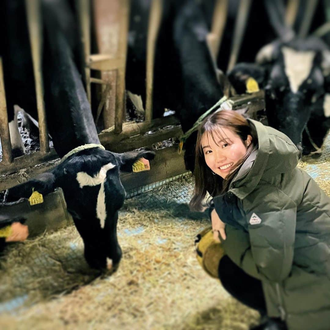 井上沙紀のインスタグラム：「年女なので🐄さんに会いに🙌 ラッキーセブンちゃん❣️ ご利益ありそう🙌いい一年になりますよーに🥰#2021 #丑年 #年女」