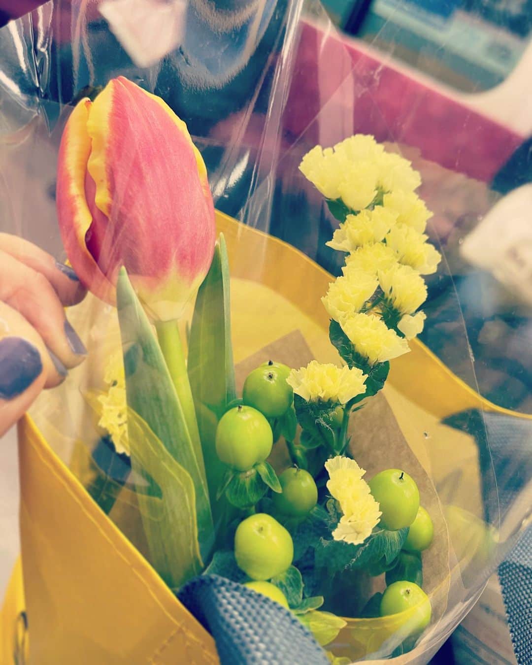 井上侑さんのインスタグラム写真 - (井上侑Instagram)「さてさてと 今夜は18時からライブ配信でお会いしましょう。  #tulip #flowers #yellow #red #green」1月19日 15時01分 - yuinouehappy