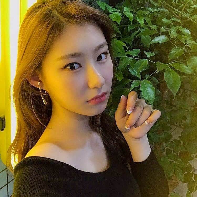 チェリョンのインスタグラム：「what's time in your country now? ⁣⠀ ⁣⠀ anyways have a great day/night to all midzys around the world~💕🦖🦕」