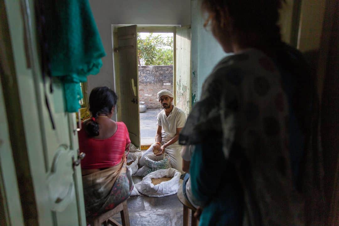 ルモンドさんのインスタグラム写真 - (ルモンドInstagram)「Les champs de Rama Krishna, à Nandi Velugu (district de Guntur), sont verts et luxuriants. Ce fermier de l’Andhra Pradesh, un Etat du sud-est de l’Inde, a rejoint le programme « agriculture naturelle à zéro budget » (ZBNF) développé par le gouvernement régional et le plus gros projet d’agroécologie au monde. Lancé en 2015-2016, et piloté par Vijay Kumar, conseiller à l’agriculture du gouvernement, ce programme soutenu par l’Organisation pour l’alimentation et l’agriculture (FAO) a déjà séduit 700 000 paysans et travailleurs agricoles, soit 190 000 hectares répartis dans 3 011 villages, qui cultivaient auparavant en agriculture conventionnelle.⁣ D’ici à 2027, l’objectif du gouvernement régional est de convertir 6 millions d’agriculteurs et 8 millions d’hectares, pour nourrir ses 53 millions d’habitants, la totalité de l’Etat. « Notre but, c’est que notre région soit complètement libérée des produits chimiques et contribue ainsi à la bonne santé de la population et au bien-être des paysans », explique Vijay Kumar, qui s’est inspiré de Subhash Palekar, le père de l’agriculture naturelle en Inde.⁣ -⁣ 1 : Des agricultrices dans une ferme biologique, à Guntur, dans l’Etat indien de l’Andhra Pradesh, le 10 janvier⁣ 2 : Rama Krishna dans ses champs à Nandi Velugu (district de Guntur), dans l’Etat indien de l’Andhra Pradesh, le 9 janvier⁣ 3-6 : Bapa Rao a constitué une banque de semences locales de riz réputés pour leurs qualités nutritionnelles et adaptés au climat, qu’il présente ici aux agriculteurs d’Athota⁣ 4 : Dans les champs de Rama Krishna, à Nandi Velugu⁣ 5 : Vijay Kumar, ancien haut fonctionnaire et conseiller à l’agriculture du gouvernement de l’Andhra Pradesh. Il pilote le programme d’agriculture naturelle⁣ 7 : Rosiaha cultive 40 espèces différentes dans son terrain d’un hectare à Athota, et reçoit la visite de nombreux autres cultivateurs de la région qui viennent observer ses techniques⁣ -⁣ Photos : Ishan Tankha (@ishantankha) #PourLeMonde⁣ -⁣ #Inde #agriculture #bio」1月20日 1時00分 - lemondefr