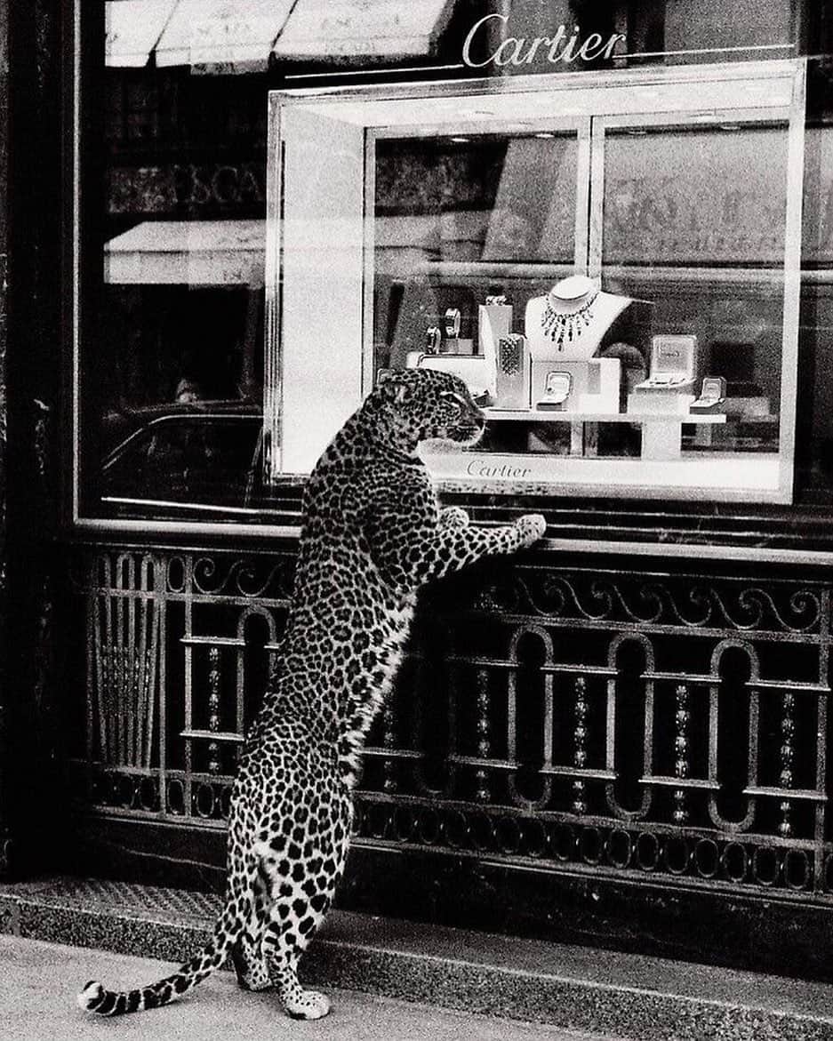Alexandra M Rodriguezのインスタグラム：「Good morning #mood」