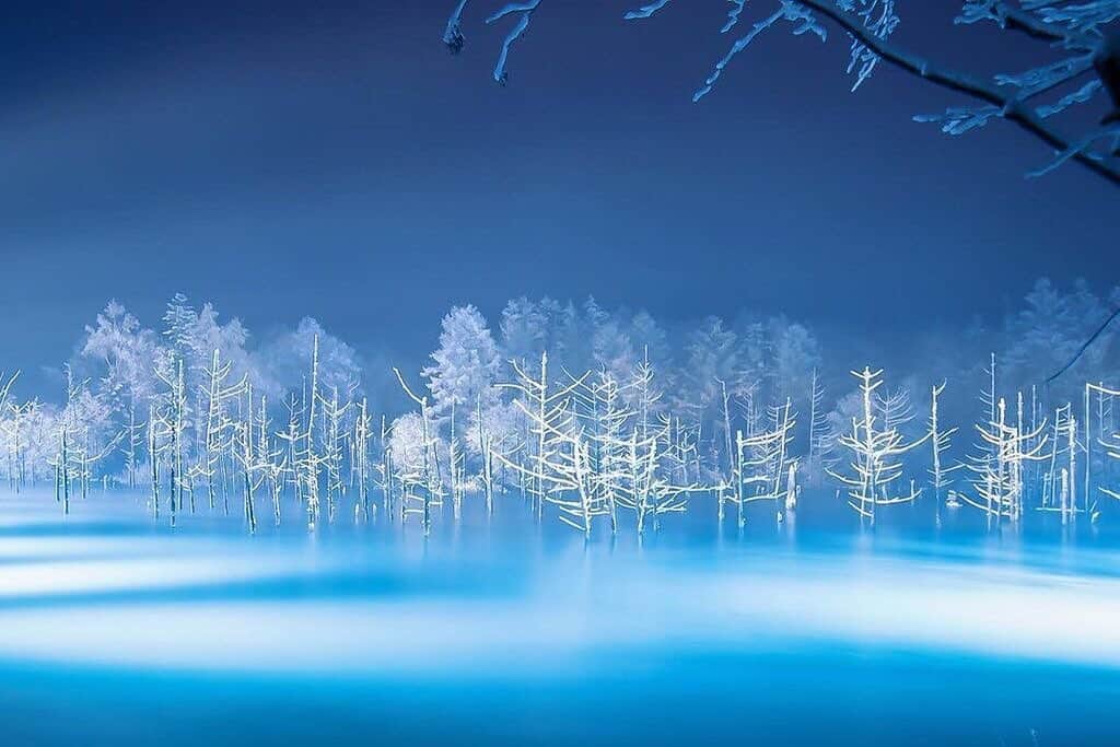 大人のニキビにルナメアACさんのインスタグラム写真 - (大人のニキビにルナメアACInstagram)「▼【景色の移ろいで季節を楽しんで】﻿ ﻿ 雪化粧をほどこしたカラマツと凍った池が幻想的な1枚。﻿ ここは北海道美瑛町の青い池。﻿ ﻿ コバルトブルーの水をたたえるこの池は﻿ 冬になると水面が凍り、雪が積もってこのような景色に。﻿ ライトアップされて浮かび上がる白い木と青い結氷のコントラストは圧巻の美しさです。﻿ ﻿ 冬限定のライトアップで、昼に見る姿と違った印象になりますが﻿ 季節や天候によっても変わるのだとか。﻿ ﻿ 雪融け水が多く流れ込む春はエメラルドブルーに、﻿ 初夏はライトブルーに見える日が多いそう。﻿ 新緑と池のブルーの対比や、秋の紅葉に彩られた水面など、﻿ 様々な表情が楽しめます。﻿ ﻿ 四季折々、1日ごとに変化する自然の景色を楽しめるのも﻿ 青い池の魅力です。﻿ ﻿ まだまだ厳しい寒さが続くこの季節。﻿ うるおいに満ちた健やかな肌で過ごせますように。﻿ 肌のお手入れには、ルナメアACのスキンケアアイテムをお使いくださいね。﻿ ﻿ Photo by @shiho.sss ﻿ ﻿ ﻿ #ルナメアac #lunamer #lunamerac #富士フイルム #ルナメアアクネケア #スキンケア #美肌 #美肌ケア #美肌作り #美肌対策 #ニキビ予防 #ニキビケア #ニキビ改善 #大人ニキビ #大人ニキビケア #大人ニキビ改善 #スキンケアマニア #北海道 #美瑛町 #青い池 #青い池ライトアップ #絶景スポット #カメラ女子部 #ファインダー越しの私の世界 #タビジョ #旅の思い出 #旅スタグラム #たびすたぐらむ #写真旅行 #広がり同盟」1月19日 17時00分 - lunamer_ac