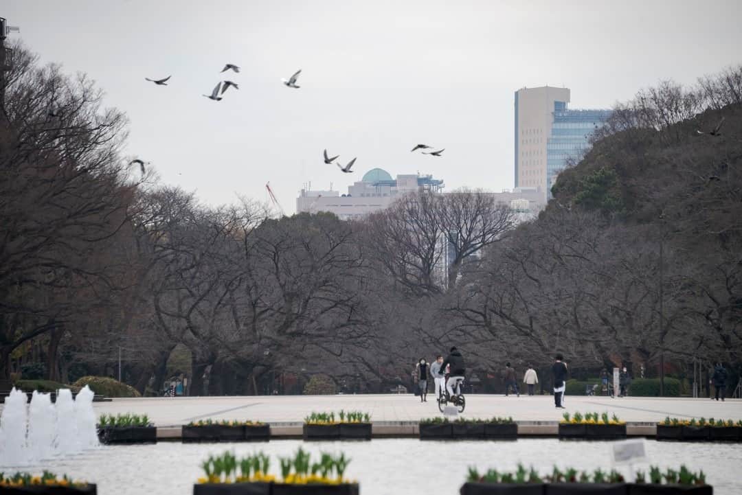 東京都庁広報課のインスタグラム