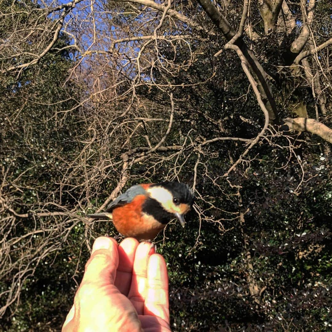 藤代冥砂のインスタグラム