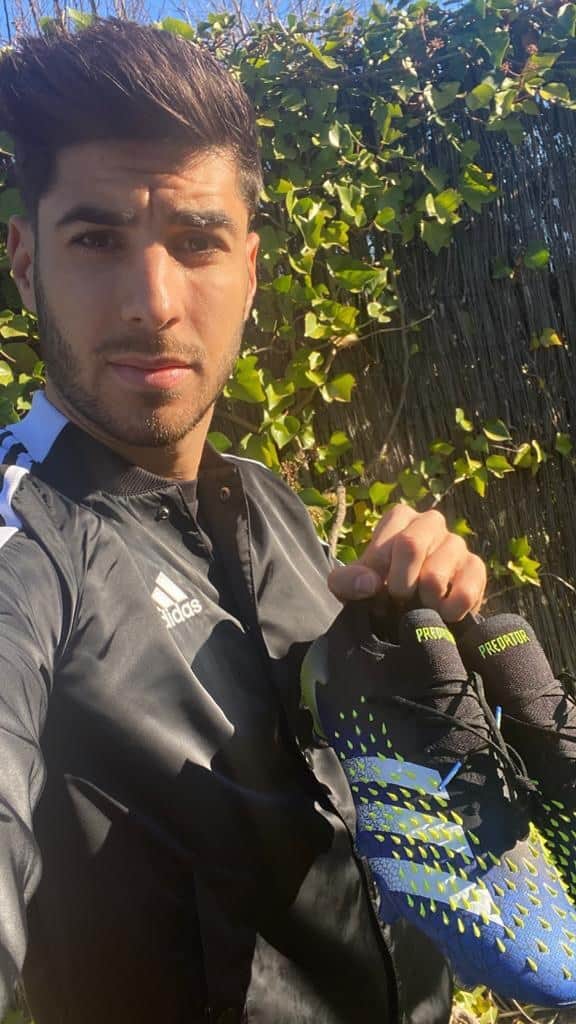 マルコ・アセンシオのインスタグラム：「Muy contento anunciar que soy el primer nuevo miembro en el grupo #Predator de @adidasfootball – ¡Vamos! // I am happy to announce that I’m the first new member in the #Predator squad of @adidasfootball – let’s go!」