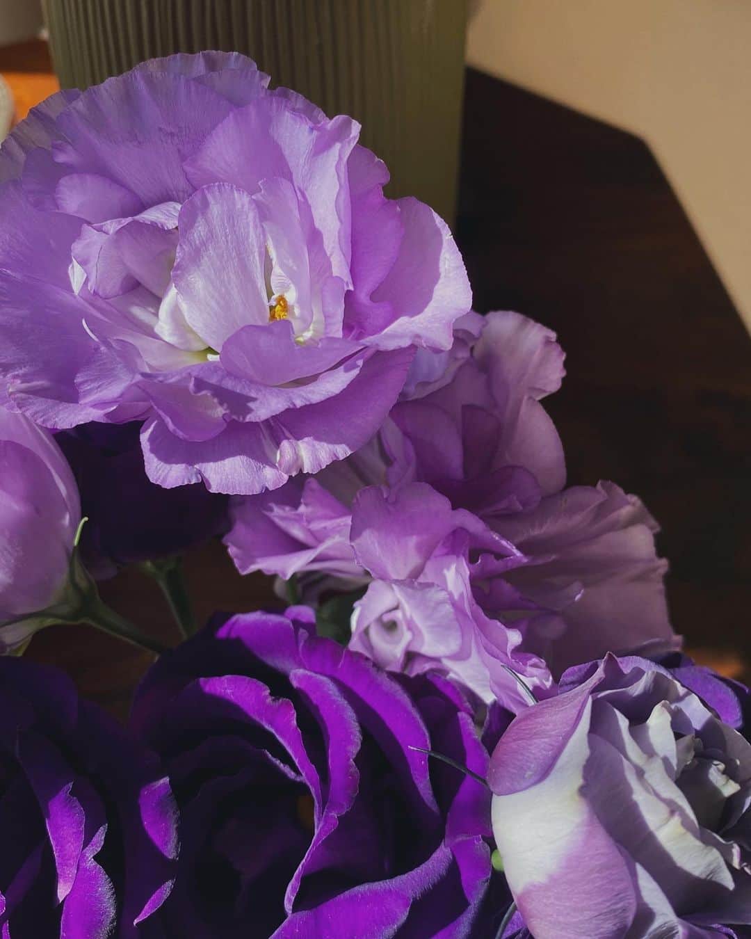 MARINのインスタグラム：「𝑅𝑎𝑛𝑢𝑛𝑐𝑢𝑙𝑢𝑠 𝑃𝑢𝑟𝑝𝑙𝑒 紫のラナンキュラス 花言葉は"幸福" 💜」