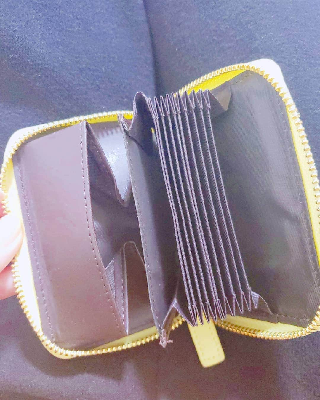 Hiromi Tomiiさんのインスタグラム写真 - (Hiromi TomiiInstagram)「@brandofqueen.japan リボンチャーム・カード＆札入れ＆小銭入れ財布  コンパクトなサイズ だけど、しっかり大容量😊   お札が入るスペースは2箇所、カードは9ポケット 小さなバッグにも入る便利で可愛いミニ財布😊  カラーバリエーションは6種で揃えたいくらい😊 #ブランドオブクイーン #リボンチャーム #収納ケース #エコバッグ #保冷エコバッグ #レジ袋型 #ウォレット #財布 #pr」1月19日 18時19分 - hiromi.tomii