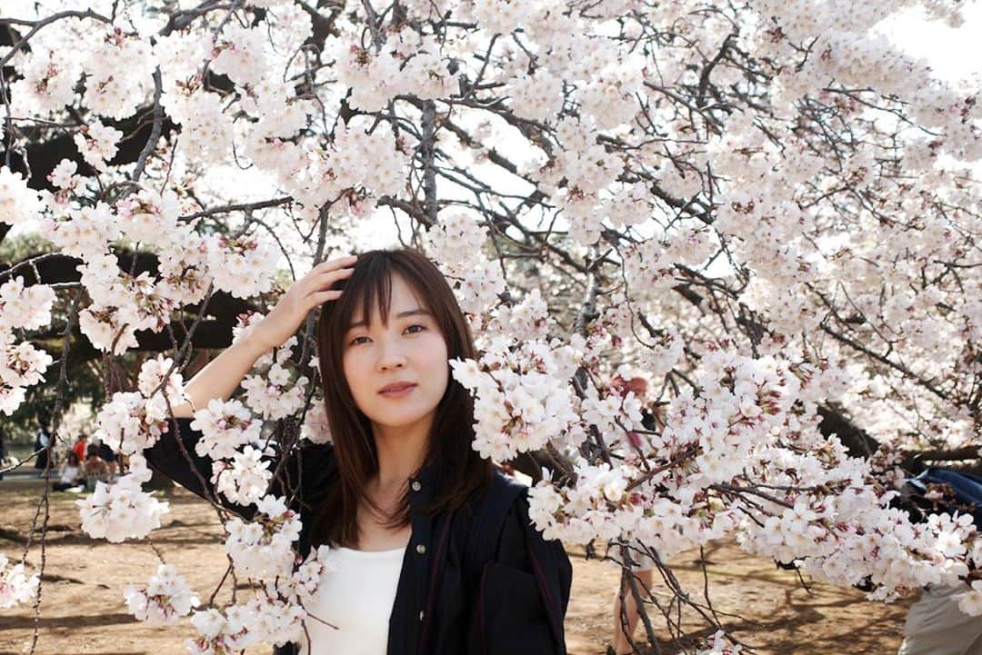 亜希子のインスタグラム：「桜は今年も、もしも誰にも見られなくても、自分の誇りのために本気出して綺麗に咲くんでしょう。  あー、ピクニックしたいっ！(我慢)  photo by トナカイさん」