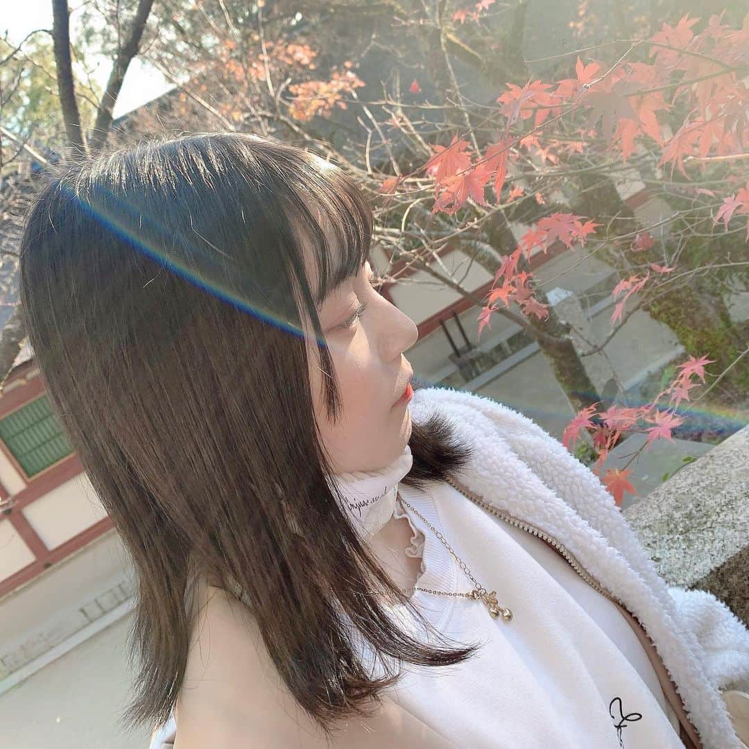上島楓さんのインスタグラム写真 - (上島楓Instagram)「. 秋戻ってこないかな  #過去pic」1月19日 18時33分 - kae822_hkt48