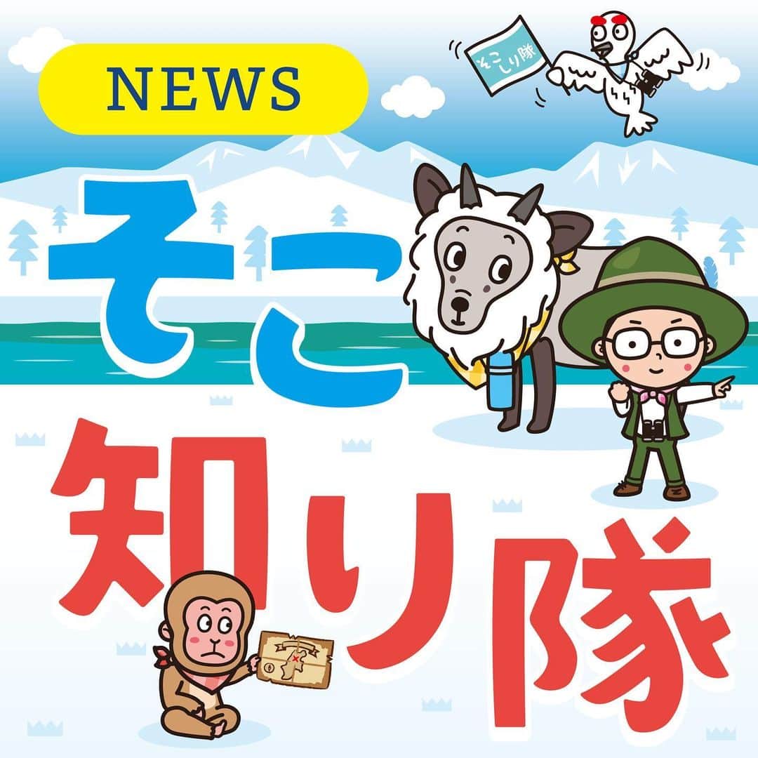 北沢直樹のインスタグラム：「信濃毎日新聞『そこ知り隊』2021冬 千曲川の雪景色。☃️ 原風景です〜🙄 ・ #そこ知り隊 #信濃毎日新聞 #信毎 #信州 #長野 #nagano #新聞 #カワイイ #イラスト #キャラクター #キャラ #newspaper #drawing #artworks #manga #character #cartoon #anime #illustration #kawaii #mydesign」