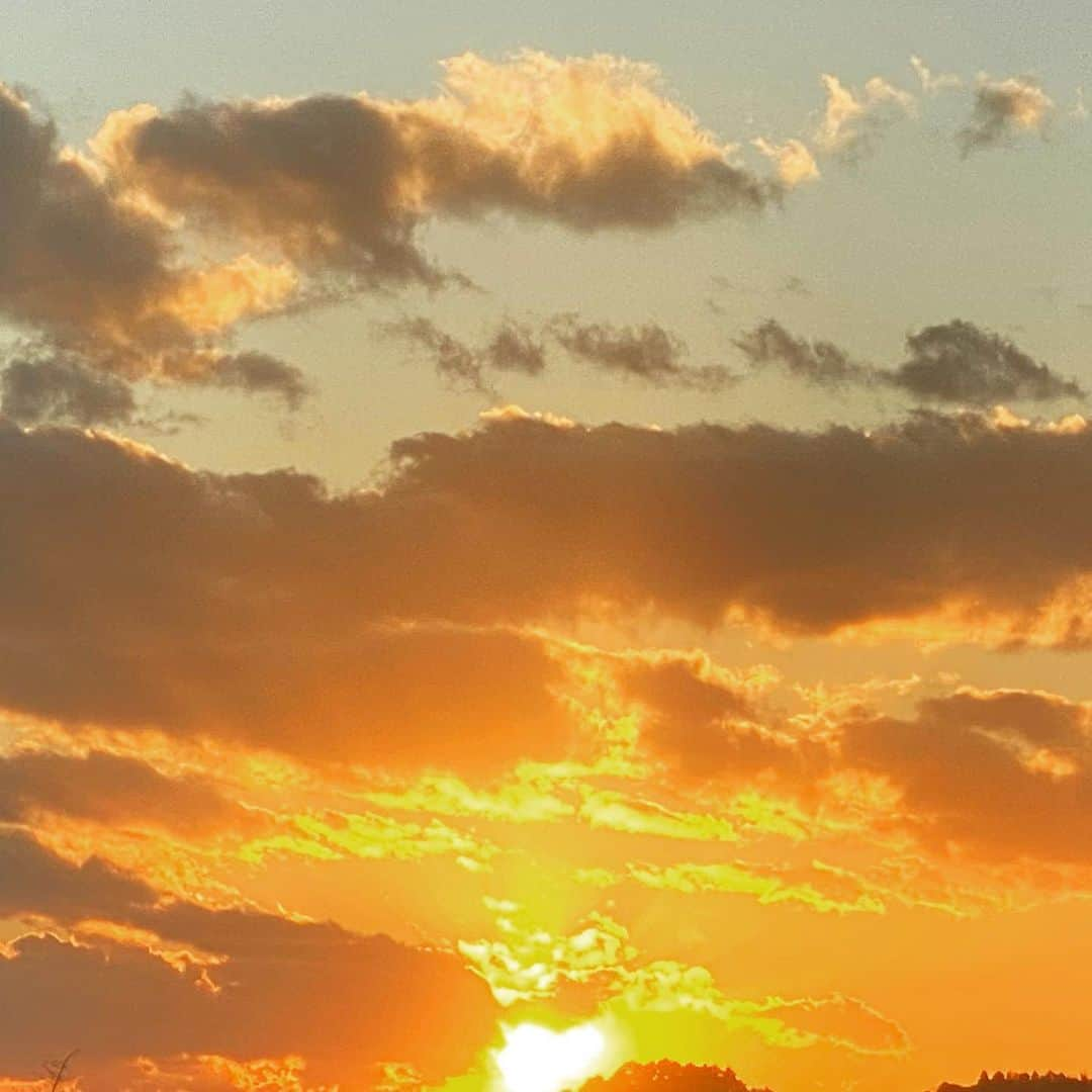 穂川果音さんのインスタグラム写真 - (穂川果音Instagram)「今日は、時間あるしなぁ🤤と思ってサボっていた(先週から)原稿を書いていたよ♪ なんか、最近はお家時間が沢山あるから、料理とお花と色々できるから楽しいんだけど、次はルームフレグランスも凝りだしそうです😇五感って大事、、、 さて、今日もアベプラ〜 21〜23時生放送✨観てねーー  　#空　#夕焼け　#sky #skyphotography #アベプラ　#お天気担当　#ほかのん　#気象予報士」1月19日 19時15分 - hokawakanonn