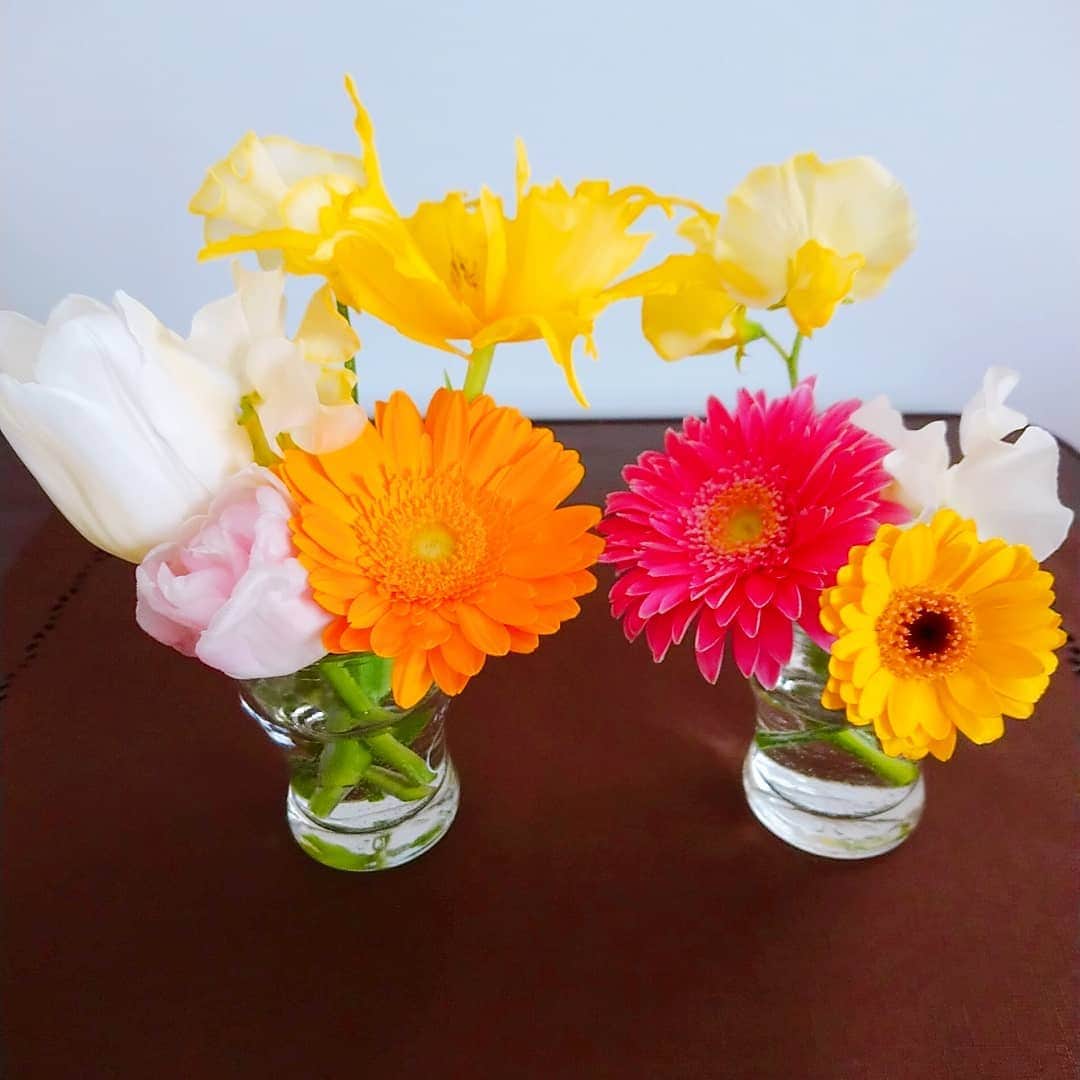 吉井怜さんのインスタグラム写真 - (吉井怜Instagram)「１本のチューリップが大きく開いてきたので 小さい花瓶に分けてみた💐」1月19日 19時45分 - rei_yoshii