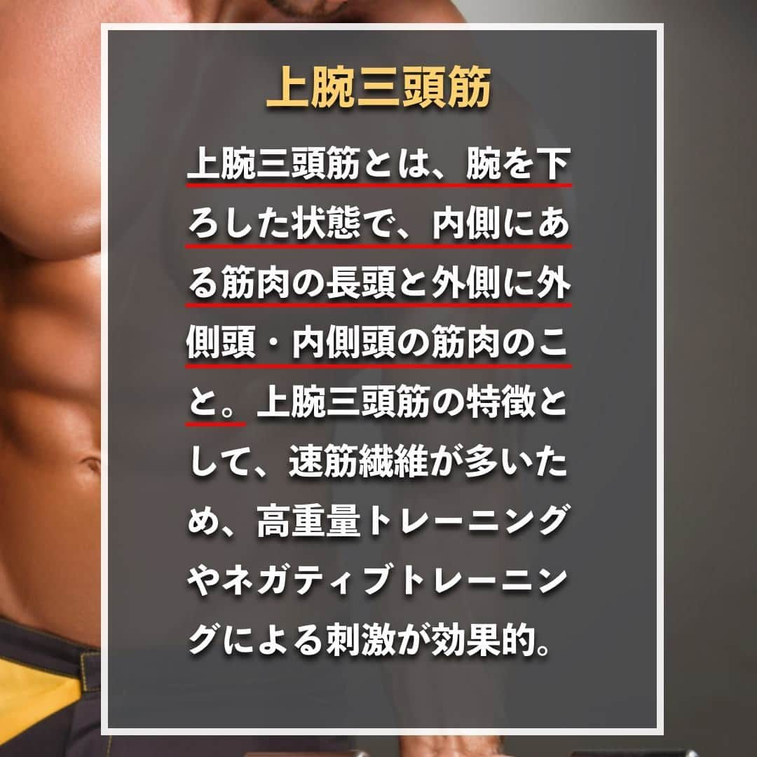 山本義徳さんのインスタグラム写真 - (山本義徳Instagram)「【上腕を最短で40センチにする方法】  腕周りは40センチ以上あると、腕が太いと言えるだろう。 平均的な男性の腕周りの太さが30〜33センチ程度であることを考えると、 6〜7センチ程度太くすることが必要。 そこで今回は上腕三頭筋と上腕二頭筋の鍛え方について解説する。  是非参考になったと思いましたら、フォローいいね また投稿を見返せるように保存していただけたらと思います💪  #上腕二頭筋 #上腕三頭筋 #上腕 #筋トレ女子 #筋トレダイエット #筋トレ初心者 #筋トレ男子 #ボディビル #筋肉女子 #筋トレ好きと繋がりたい #トレーニング好きと繋がりたい #筋トレ好き #トレーニング男子 #トレーニー女子と繋がりたい #ボディビルダー #筋スタグラム #筋肉男子 #筋肉好き #トレーニング大好き #トレーニング初心者 #筋肉トレーニング #エクササイズ女子 #山本義徳 #筋肉増量 #valx筋トレ部 #VALX #筋トレ #上腕二頭筋トレ #上腕三頭筋トレ」1月19日 20時00分 - valx_kintoredaigaku