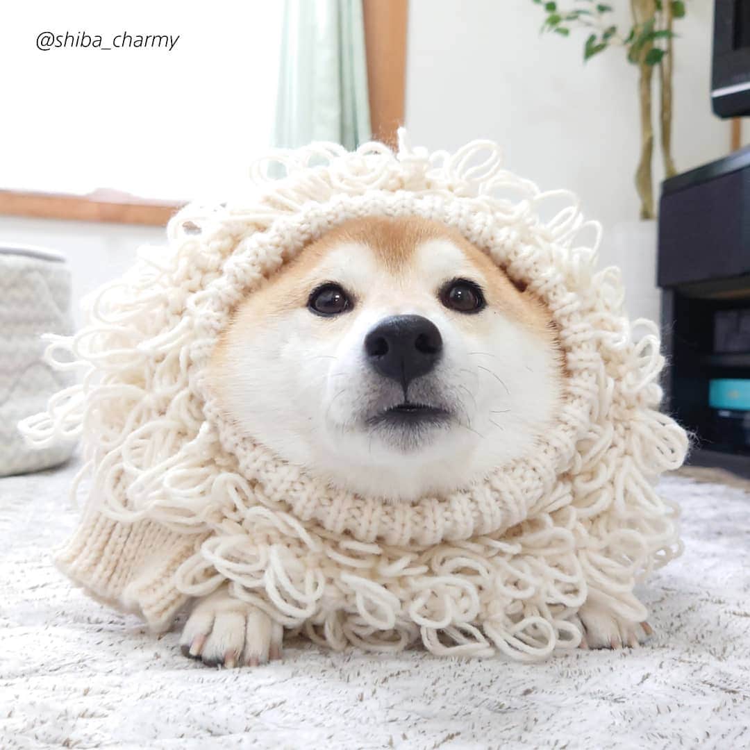 ちゃみのインスタグラム