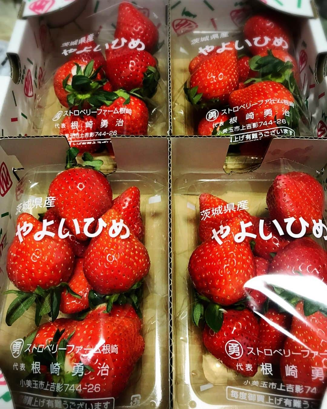 川原由維さんのインスタグラム写真 - (川原由維Instagram)「地元、茨城県のイチゴ🍓苺🍓  いつも送ってくれてありがとう😊  茨城県産の、フルーツ、お野菜はとっても美味しいの😋  イチゴ🍓大好き😘  #イチゴ #苺 #地元 #茨城県産 #茨城産」1月19日 20時26分 - yui5520