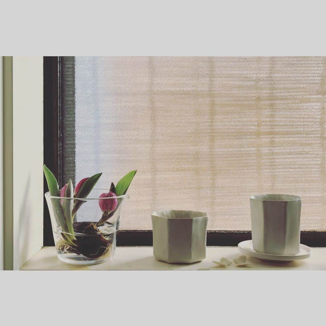 井山三希子さんのインスタグラム写真 - (井山三希子Instagram)「税理士さんへ書類提出！ 帰りにチューリップを買って帰宅 お線香とお茶を淹れて、やれやれ」1月19日 20時36分 - nikoyagi
