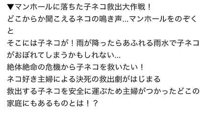 黒澤はるかさんのインスタグラム写真 - (黒澤はるかInstagram)「髪乾いてないけど、慌ててお知らせ〜！  明日、1月20日水曜日　19:00〜 TBS ワールド極限ミステリー3時間スペシャル 「マンホールに落ちた子ネコ救出大作戦！」のお話に出演させて頂きます。  猫好きには特に観て頂きたい♪笑　 猫好きな私には癒される時間だった& この撮影で初めての体験をしたよ🤭　  おうち時間に是非観てください♡ (あらすじは写真の三枚目！& 番組HPに予告あります！ https://www.tbs.co.jp/program/worldlimitmystery/)  お楽しみに〜  ※髪の毛は早く乾かしましょう☝🏻  #ワールド極限ミステリー #3時間スペシャル #マンホールに落ちた子ネコ救出大作戦 #1月20日 #猫 #猫好き集まれ #🐈」1月19日 20時42分 - haruka_offi