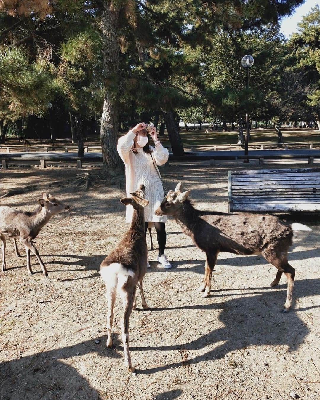 アヤナ・シャハブさんのインスタグラム写真 - (アヤナ・シャハブInstagram)「Rusa aja aku suapin, apalagi kamu😚 Wkwkwkk」1月19日 20時47分 - ayanashahab