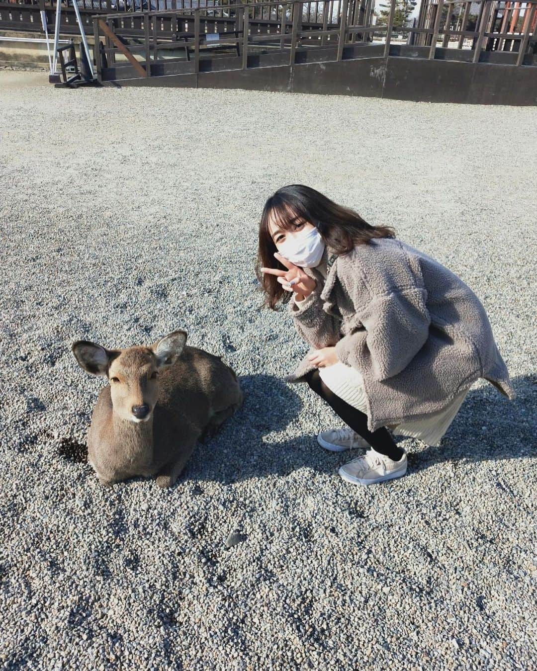 アヤナ・シャハブさんのインスタグラム写真 - (アヤナ・シャハブInstagram)「Rusa aja aku suapin, apalagi kamu😚 Wkwkwkk」1月19日 20時47分 - ayanashahab