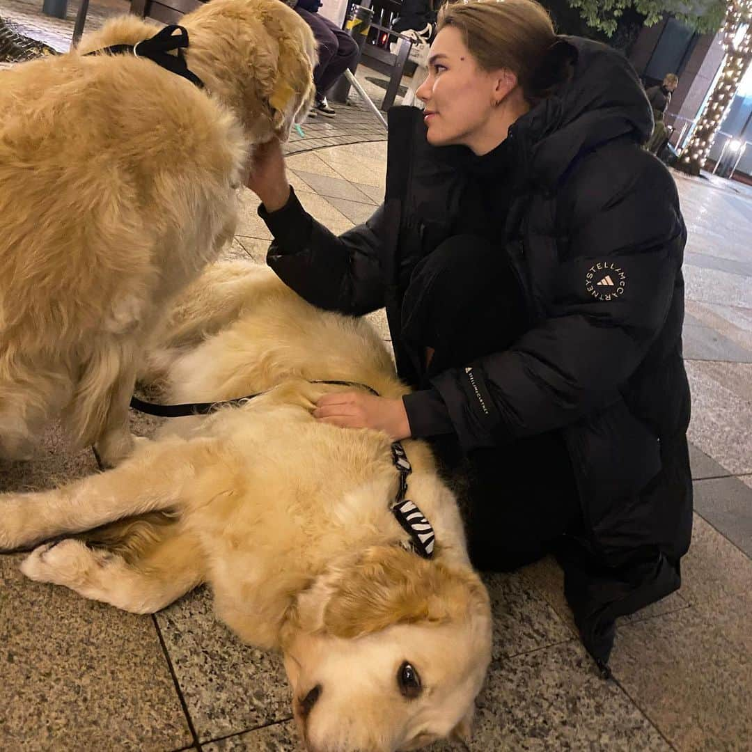 八巻セイラさんのインスタグラム写真 - (八巻セイラInstagram)「Making some friends in Ebisu 🐕  Can’t wait until I get to meet my bestie one day.  恵比寿でお友達作ってきた🍀  #恵比寿 #お散歩 #お友達作り #ゴールデンれとリバー #兄弟 #ガーデンプレース #ゴルフ女子 #stellamccartney #makingfriends #doggo #ebisu #tokyo」1月19日 21時01分 - sarahyamakibranch