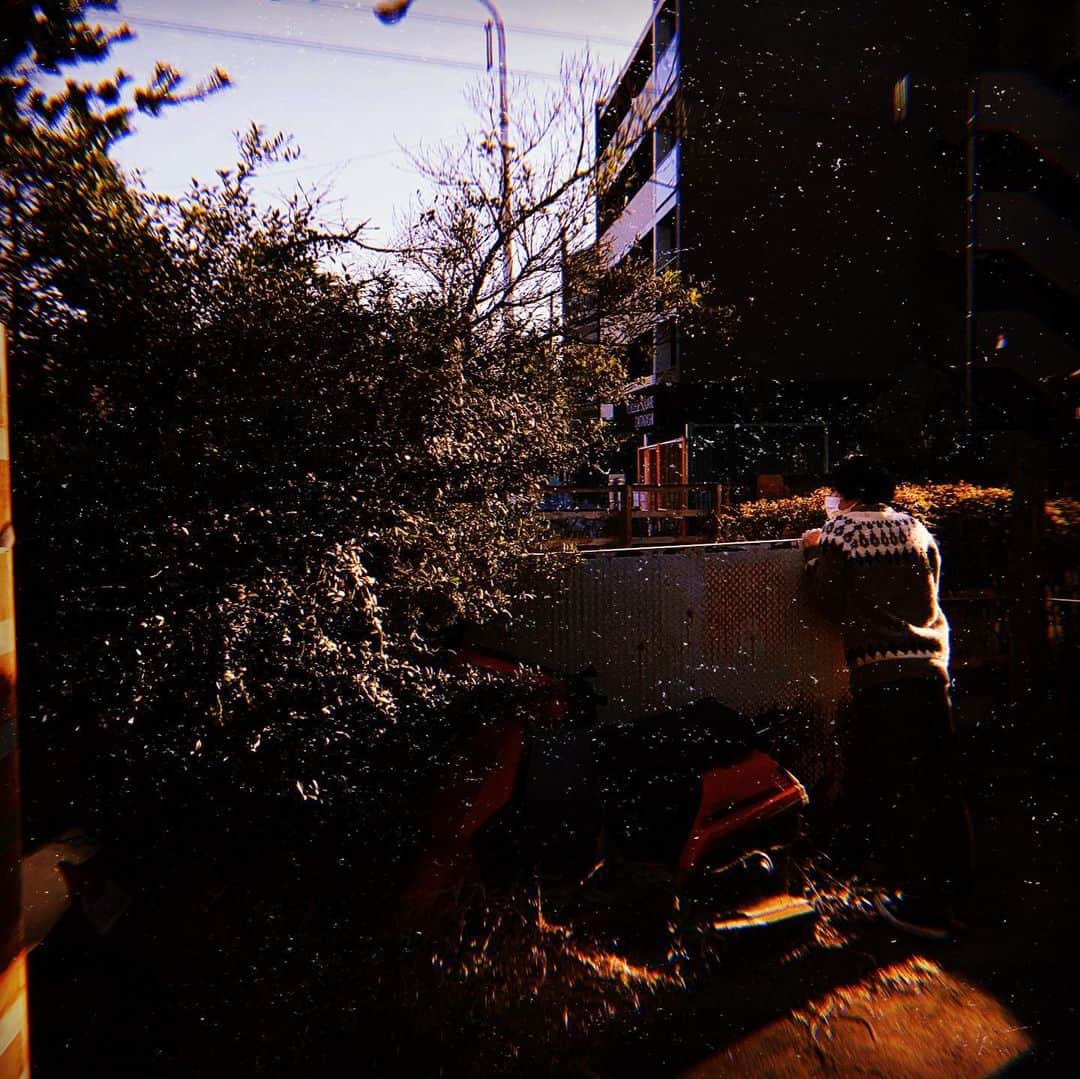 堀内将人さんのインスタグラム写真 - (堀内将人Instagram)「夕暮れの散歩で行き止まりにぶち当たった #夕暮れ #さんだる #原付 #行き止まり #下北沢 #おしゃれ #お笑い #ホリプロ #ホリプロコム #堀内」1月19日 20時54分 - m7s1t_horiuchi