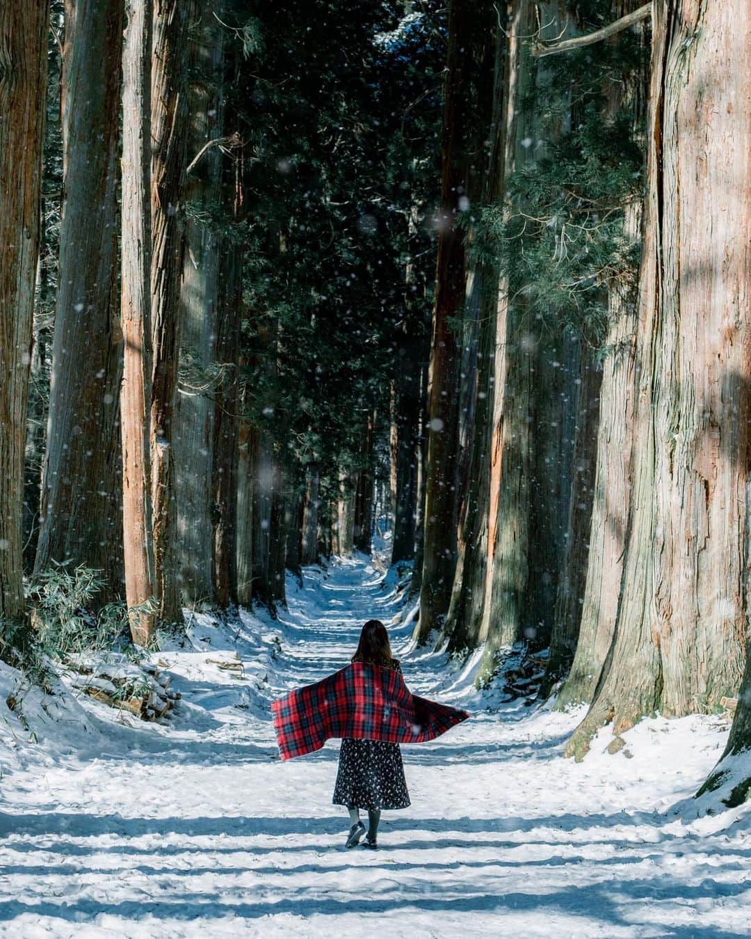 shabonのインスタグラム：「* . . . . . ❄⋆* . . FUJIFILM X-T3 /  XF16-55mm F2.8 R LM WR . . . . . *  #igersjp #tokyocameraclub #東京カメラ部 #team_jp_ #photo_shorttrip #japan_of_insta #impression_shots #GPW_members_only #as_archive #genic_mag #hellofrom #art_of_japan_ #ig_phos #daily_photo_jpn #光と影 #jp_mood #photo_collective #indy_photolife #japan_daytime_view #xt3 #Fujifilm #fujifilm_xseries  #1x #snow #雪 #戸隠神社 #今日もx日和 #ギャラリームジン」